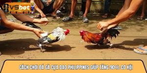 Cách chơi đá gà cựa dao philippines