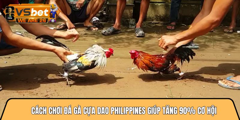 Cách chơi đá gà cựa dao philippines giúp tăng 90% cơ hội 7 Cách chơi đá gà cựa dao philippines